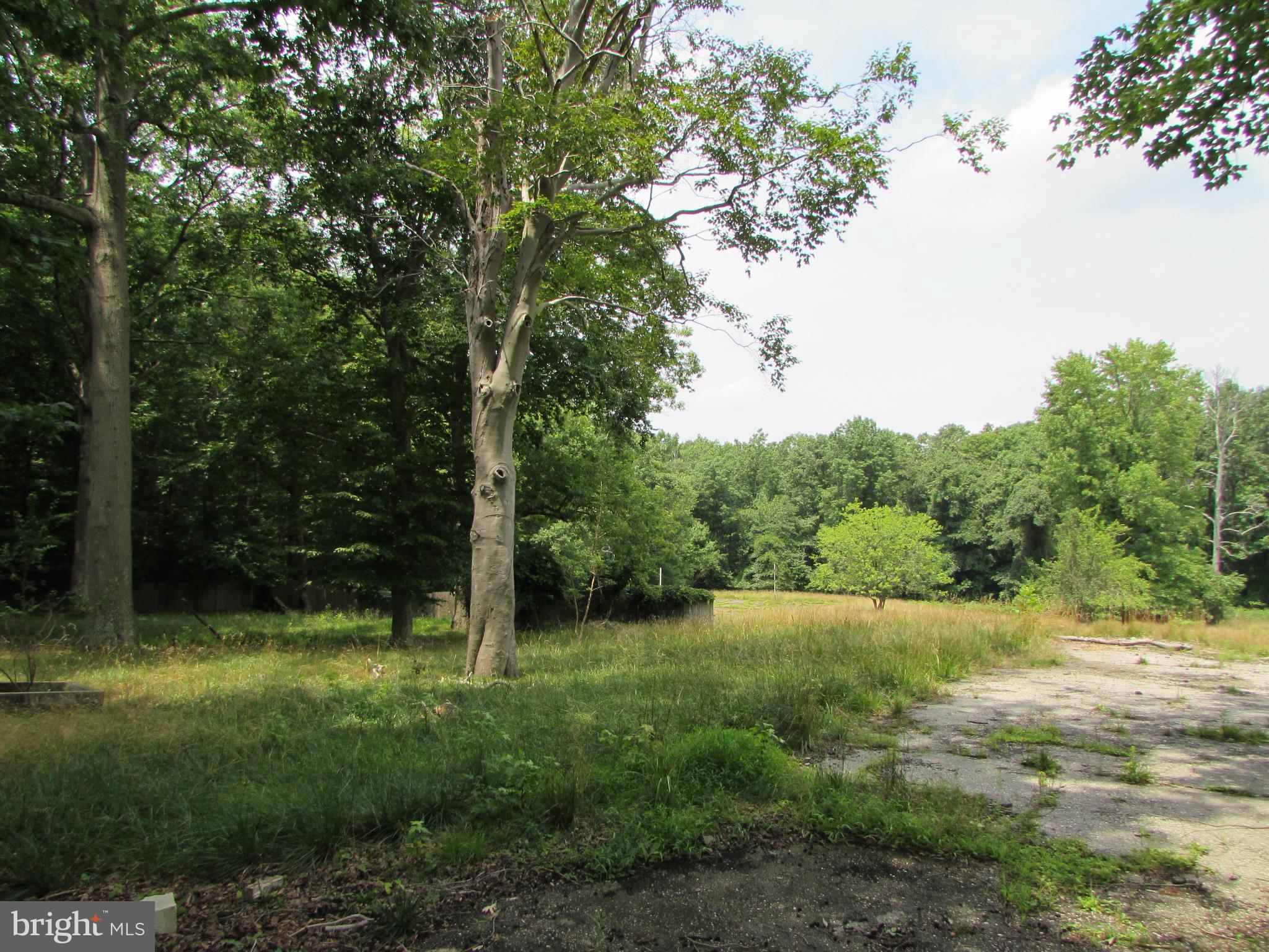 9019 Race Track Road Bowie, MD 20715 - Photo 9 of 12 Exterior (General)