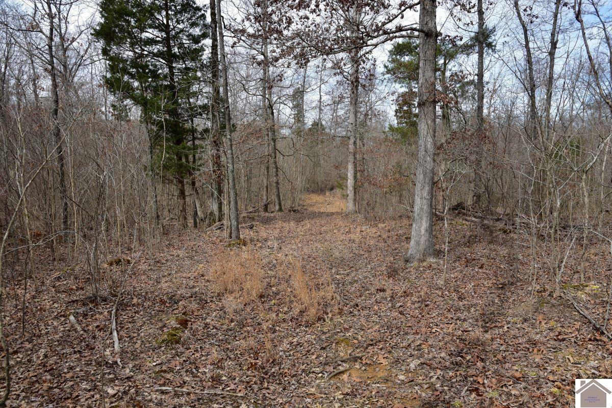 0 Waid Road Benton, KY 42025 - Photo 30 of 35 Photo 30