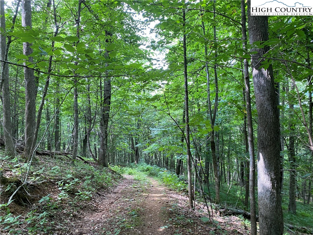 2 Spring Mountain Trail Boone, NC 28607 - Photo 11 of 15 a view of outdoor space and green space