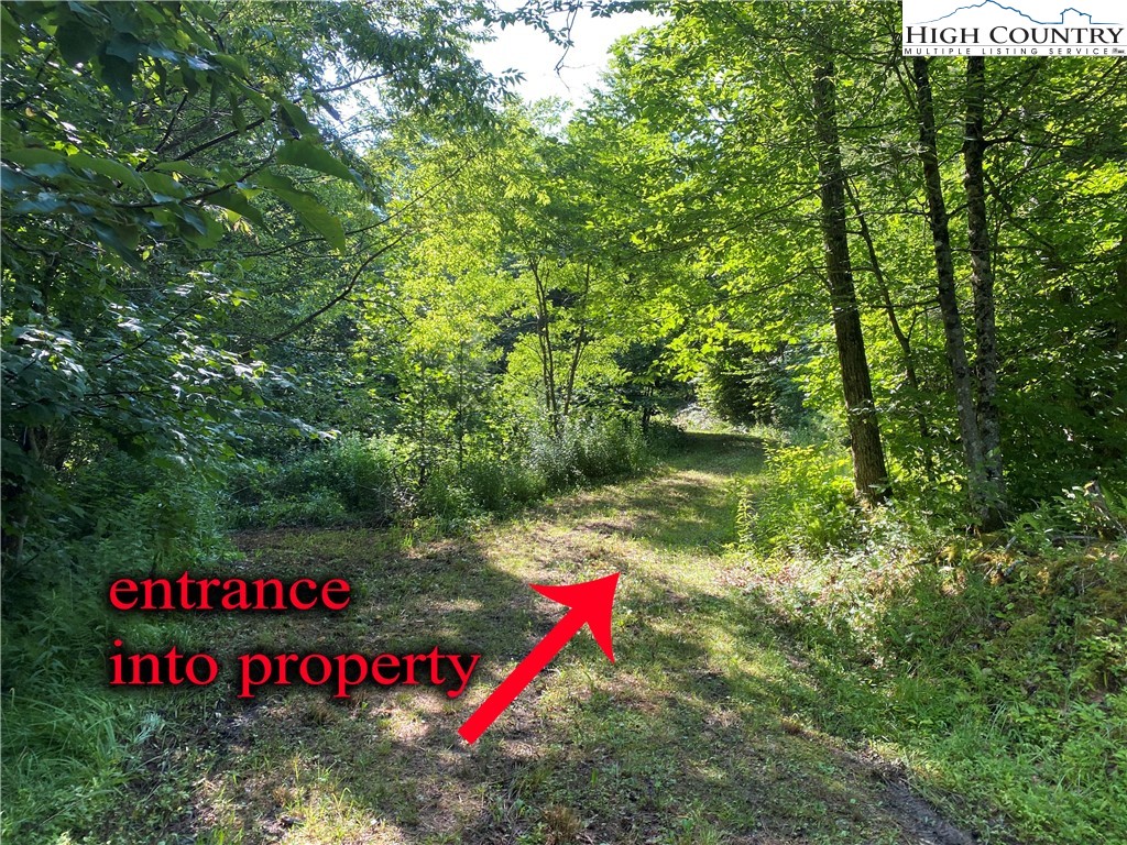 2 Spring Mountain Trail Boone, NC 28607 - Photo 15 of 15