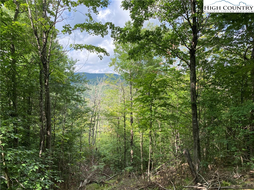 2 Spring Mountain Trail Boone, NC 28607 - Photo 2 of 15