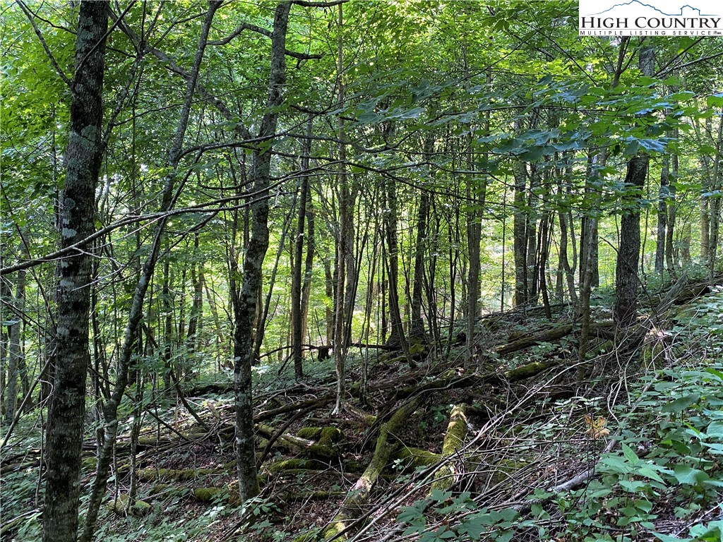 2 Spring Mountain Trail Boone, NC 28607 - Photo 6 of 15