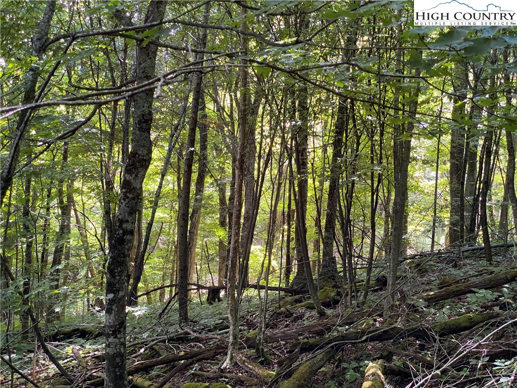 2 Spring Mountain Trail Boone, NC 28607 - Photo 8 of 15