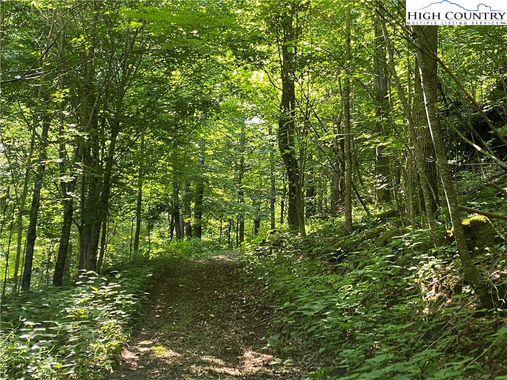 2 Spring Mountain Trail Boone, NC 28607 - Photo 9 of 15