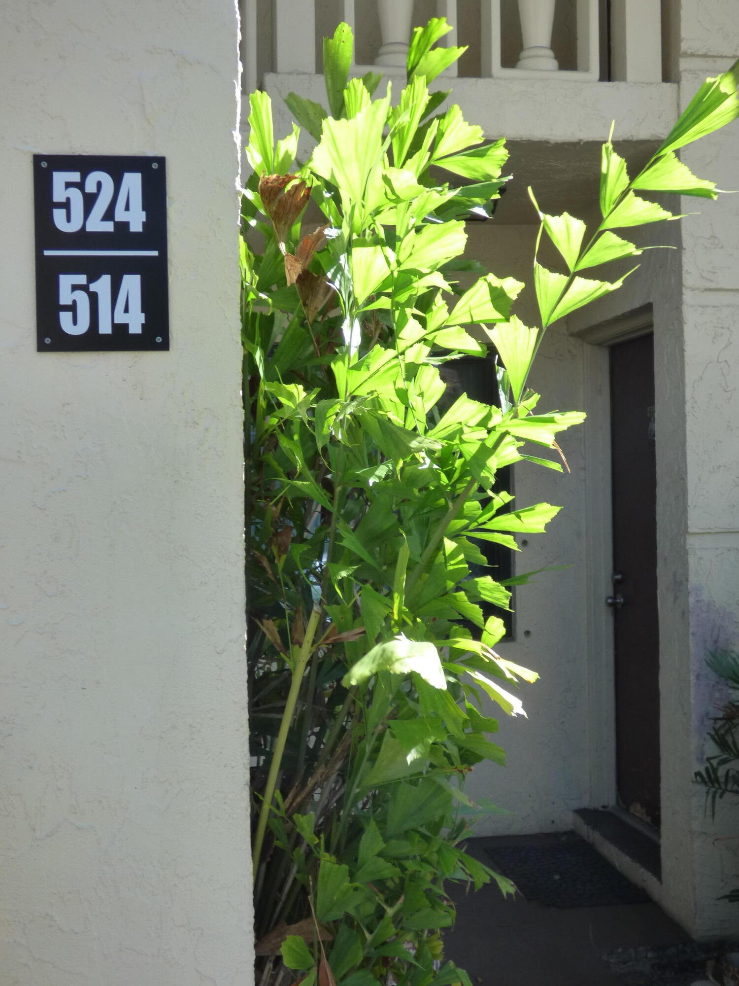 132 South Cypress Road, Unit 514 Pompano Beach, FL 33060 - Photo 3 of 48 a plant with a bunch of flowers