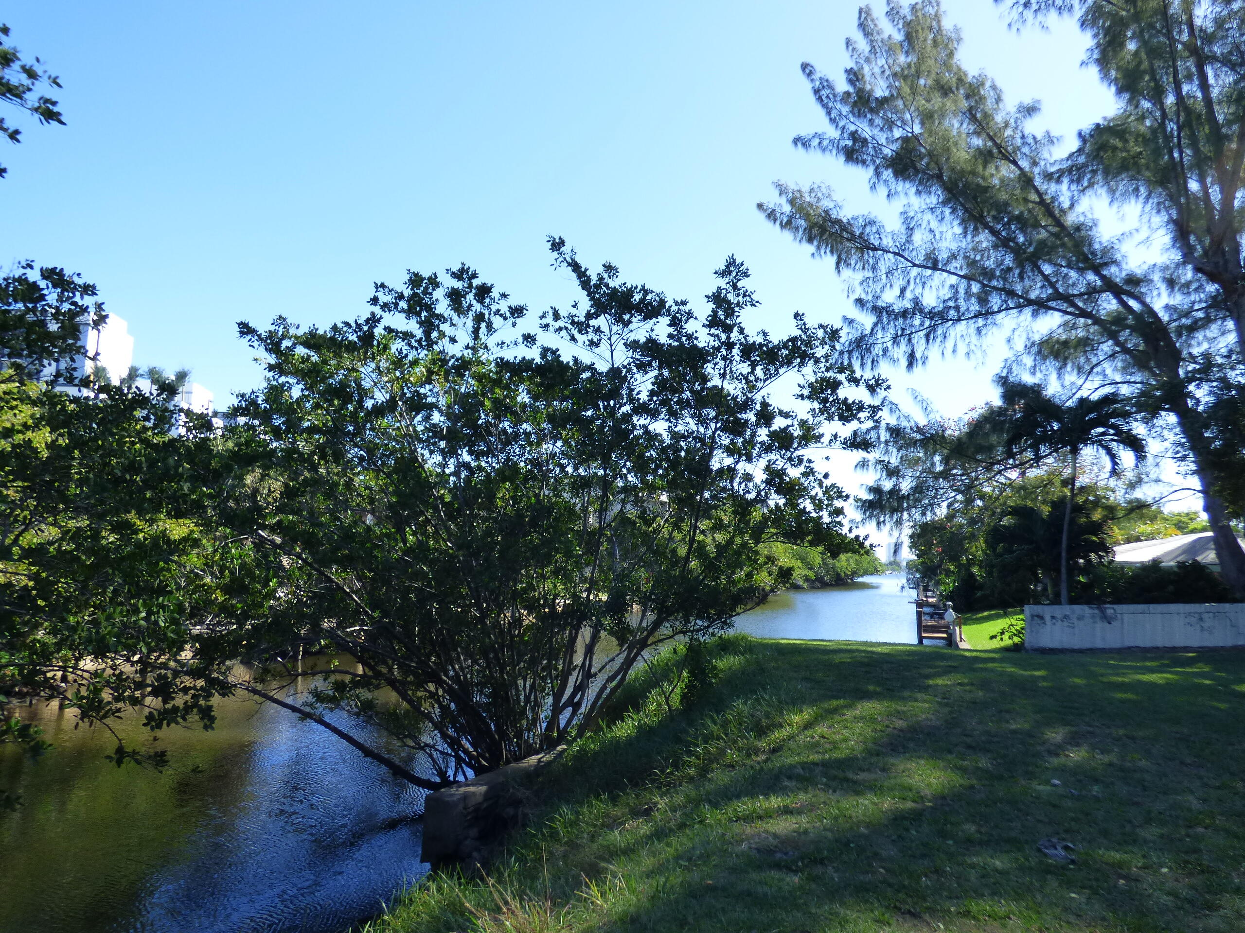 132 South Cypress Road, Unit 514 Pompano Beach, FL 33060 - Photo 39 of 48 a view of a garden