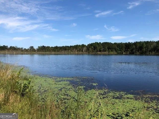 a view of a lake with a city