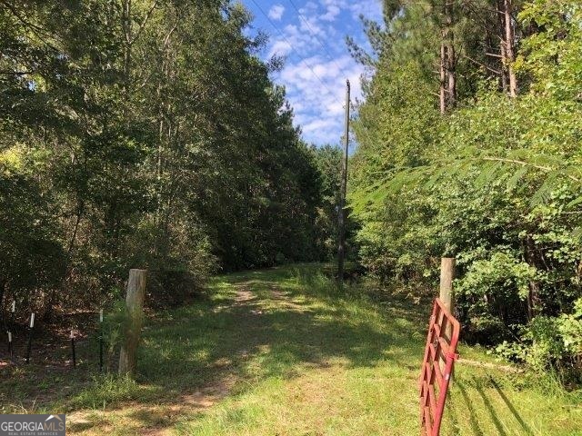 0 Old Macon Road Danville, GA 31021 - Photo 4 of 11