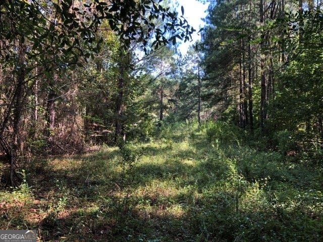 0 Old Macon Road Danville, GA 31021 - Photo 5 of 11 a view of a lush green forest