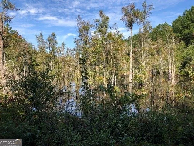 a view of a yard with plants and a tree
