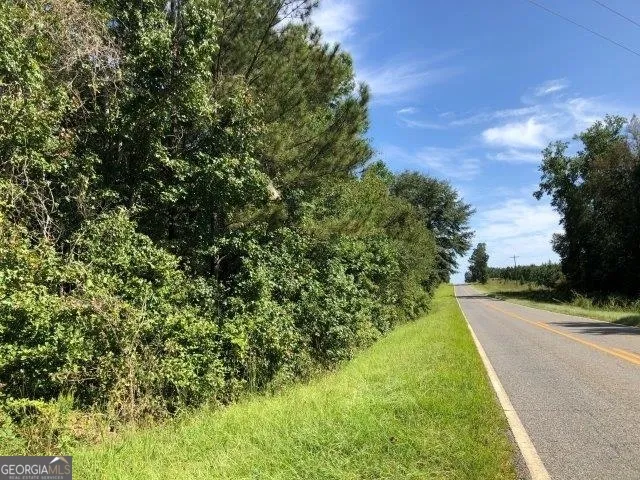 a view of a pathway of a yard