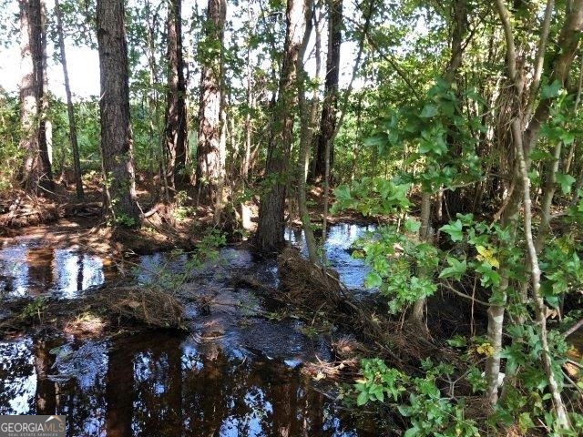 0 Old Macon Road Danville, GA 31021 - Photo 9 of 11 a view of tree