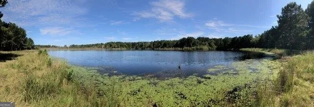 $199,600 | 0 Old Macon Road, Danville, GA 31021