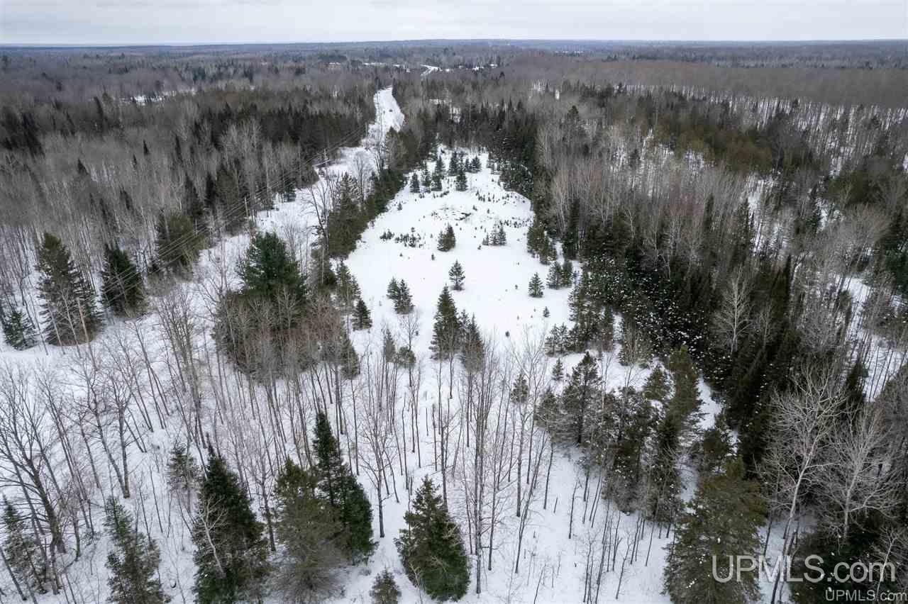 7.95-acres South 15th Road Rapid River, MI 49878 - Photo 3 of 10