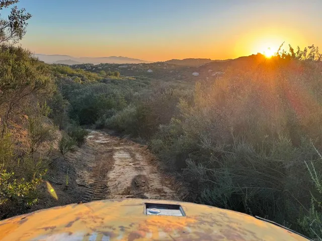 an aerial view of houses covered in trees