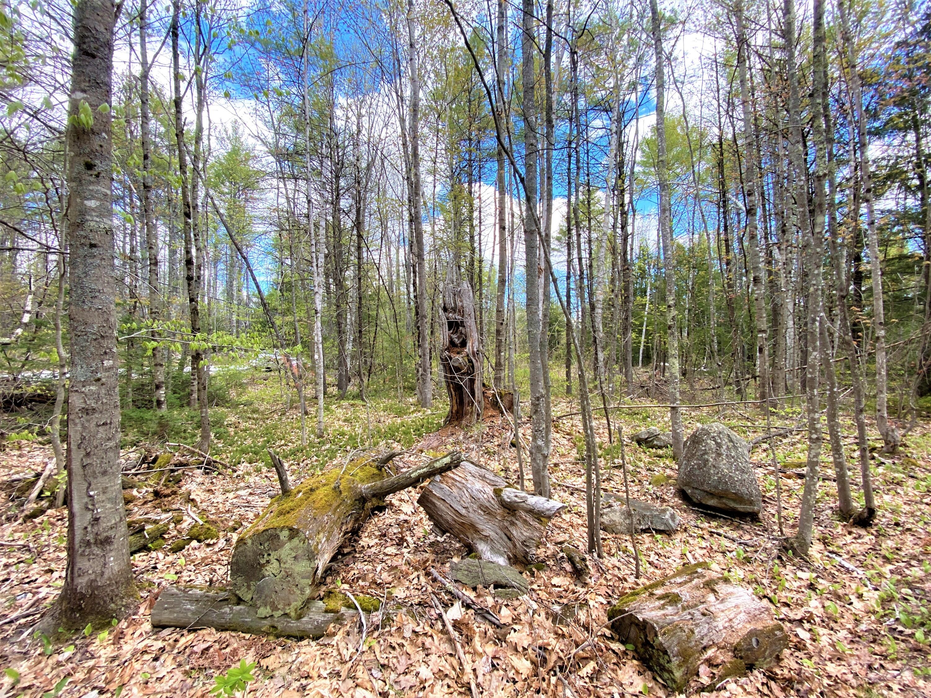 0 Libby Road, Unit LOT #1 West Newfield, ME 04095 - Photo 7 of 14 IMG_13664