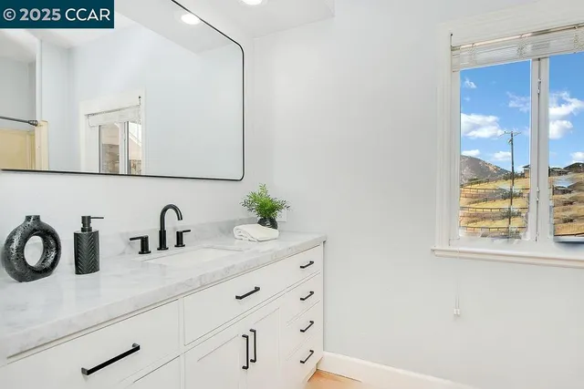 a view of a yard with plants and a bench