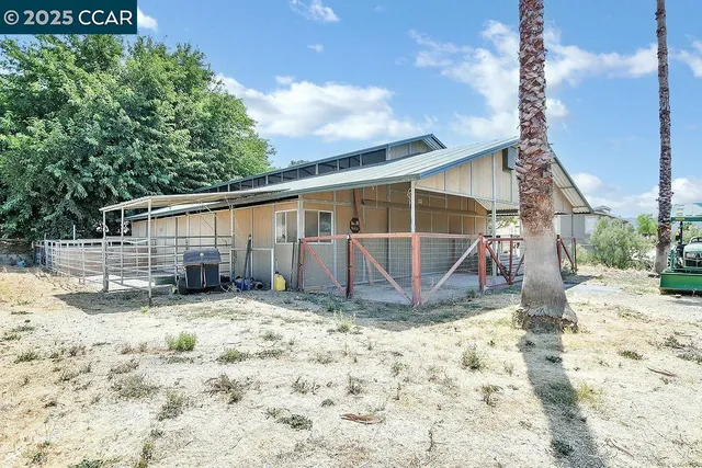 a palm tree sitting in a yard next to a building