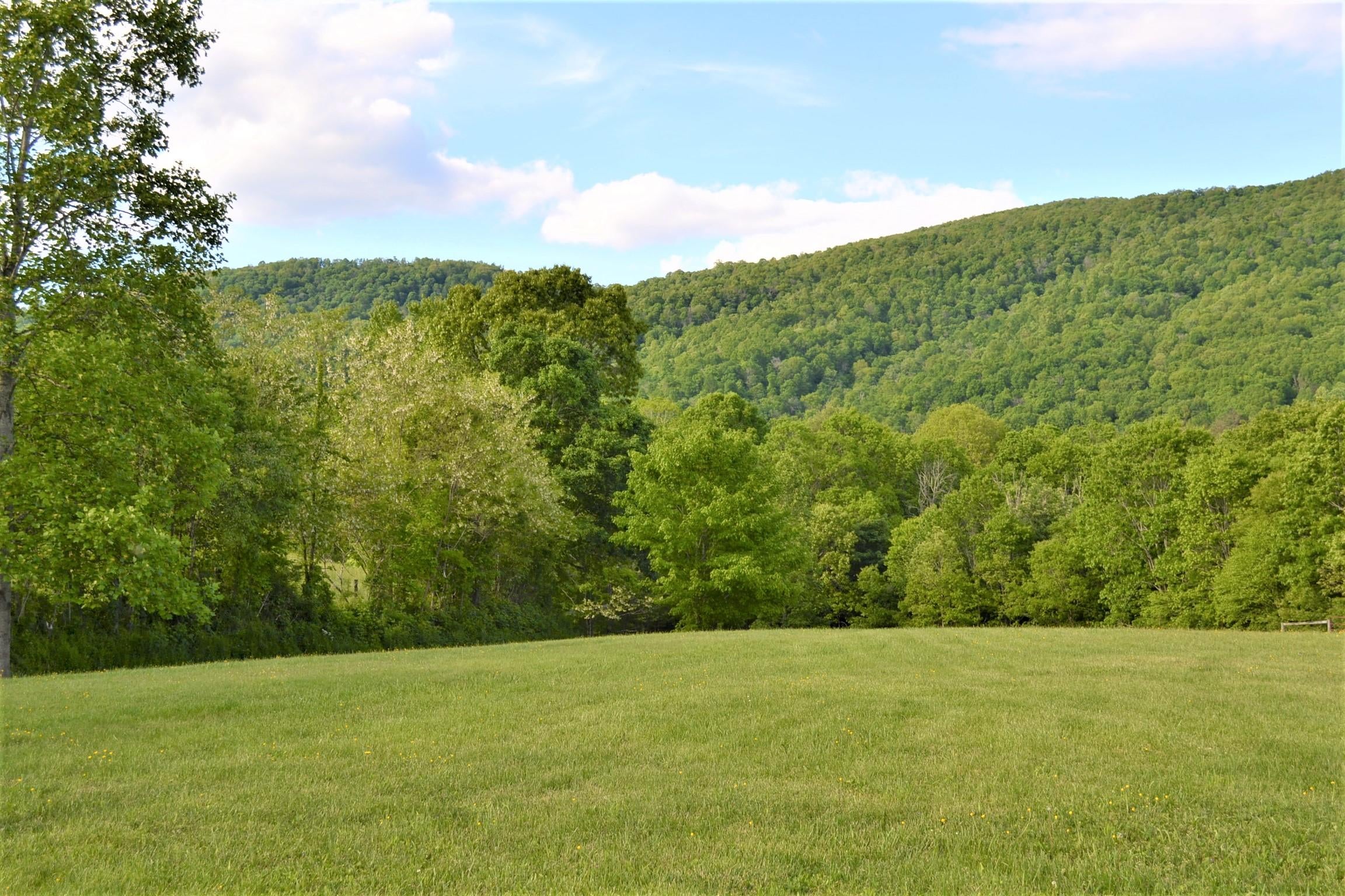 1640 Julia Road Renick, WV 24966 - Photo 17 of 77 Gallery Image 17
