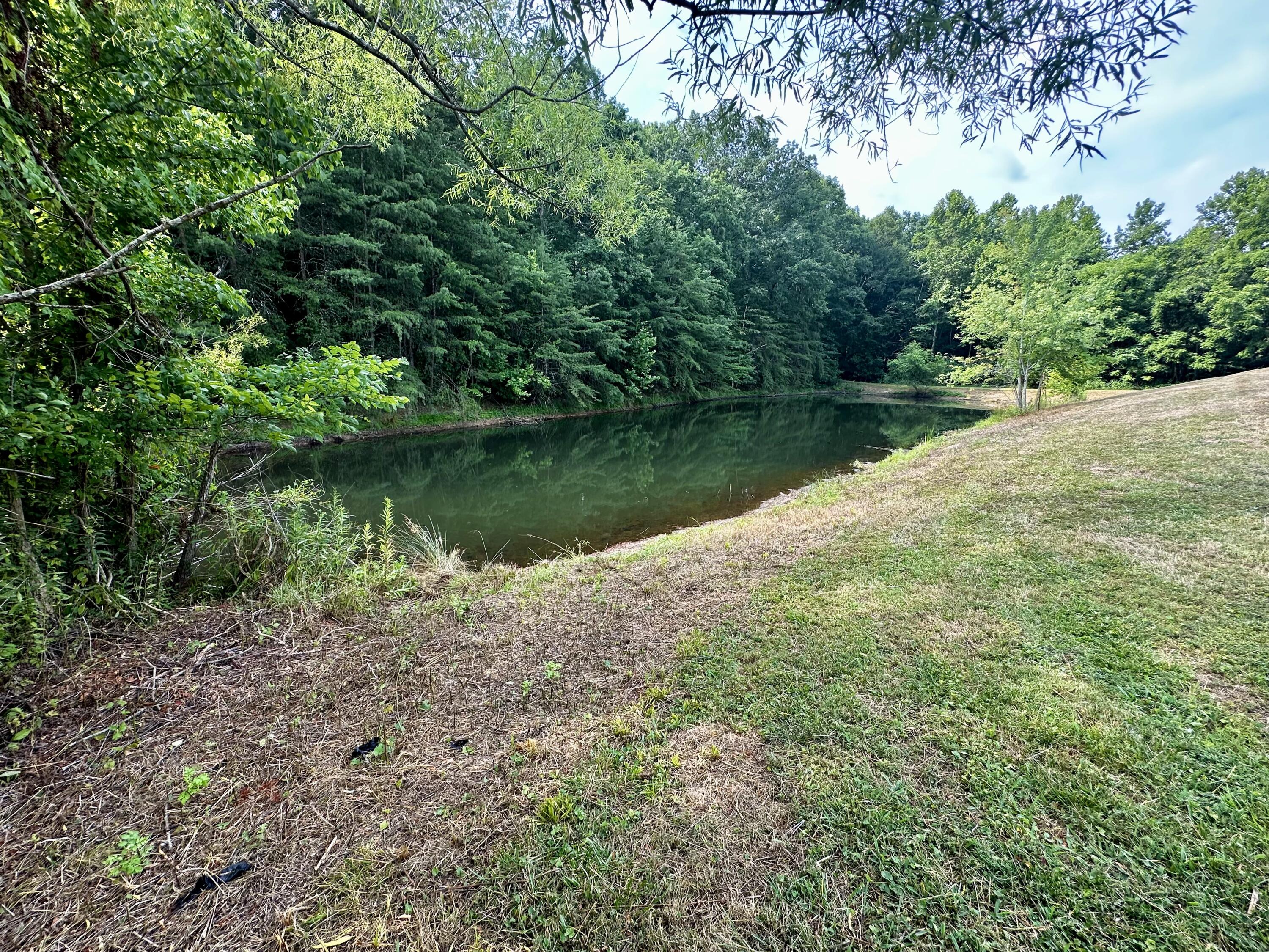 840 New Fox Road Irvine, KY 40336 - Photo 15 of 84 IMG_0626