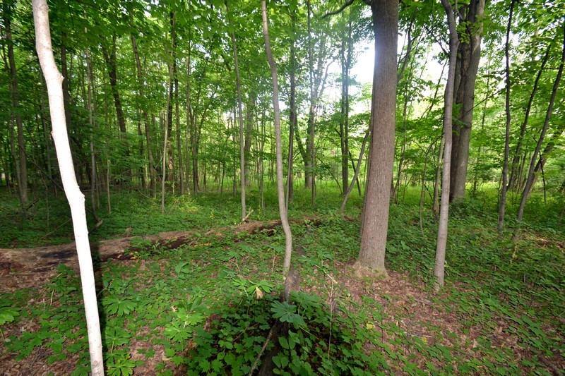 Vacant Land