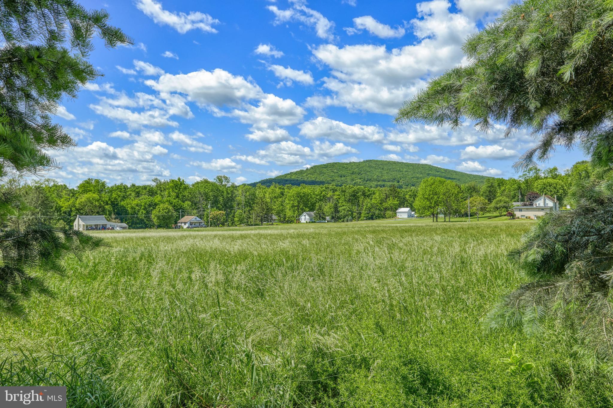 17 Cold Springs Road Dillsburg, PA 17019 - Photo 46 of 48 Gallery Image 46
