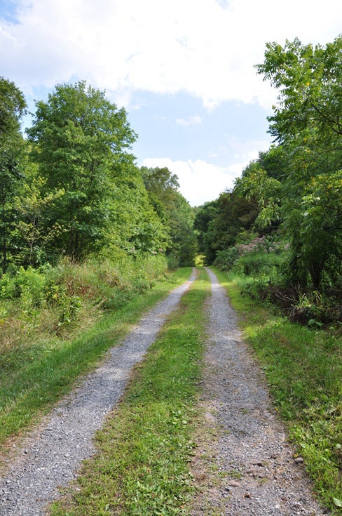 100 Grassy Meadows Road Meadow Bridge, WV 25976 - Photo 9 of 11 Private lane leading to The Little Farm