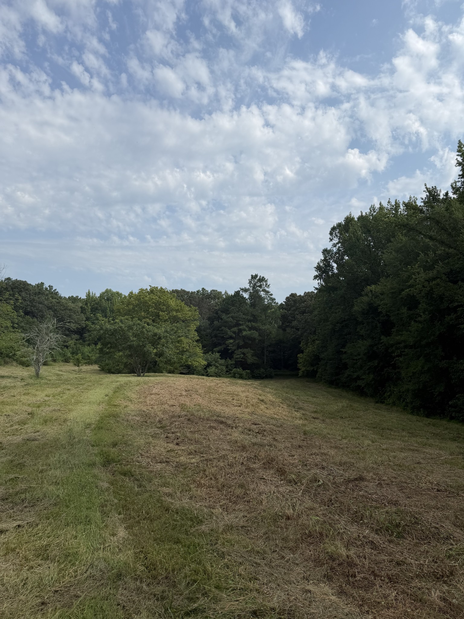 1756 Crazy Doe Road Lexington, TN 38351 - Photo 2 of 27 Gallery Image 2
