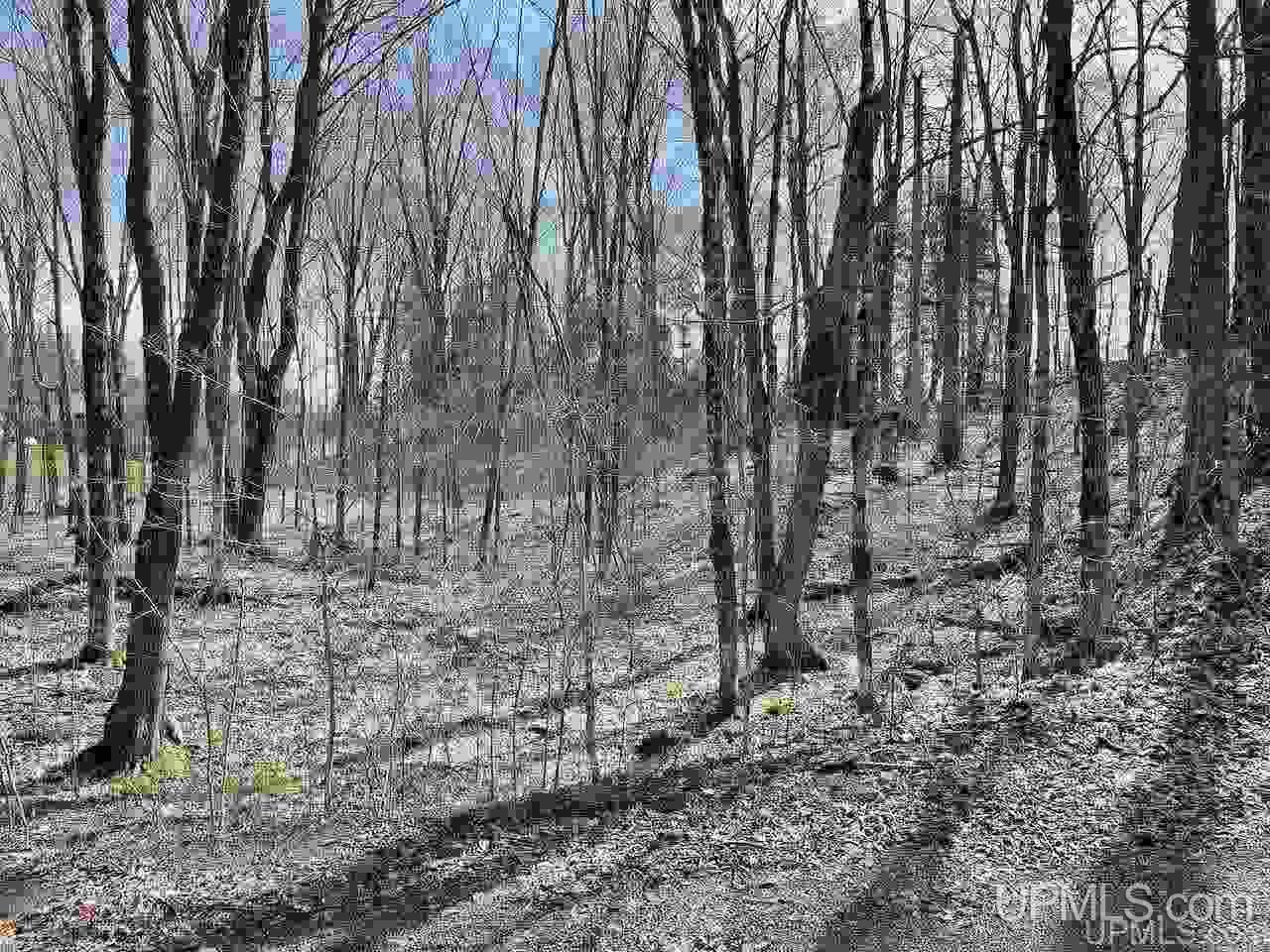 1 Copper Road Michigamme, MI 49861 - Photo 7 of 10 Gallery Image 7