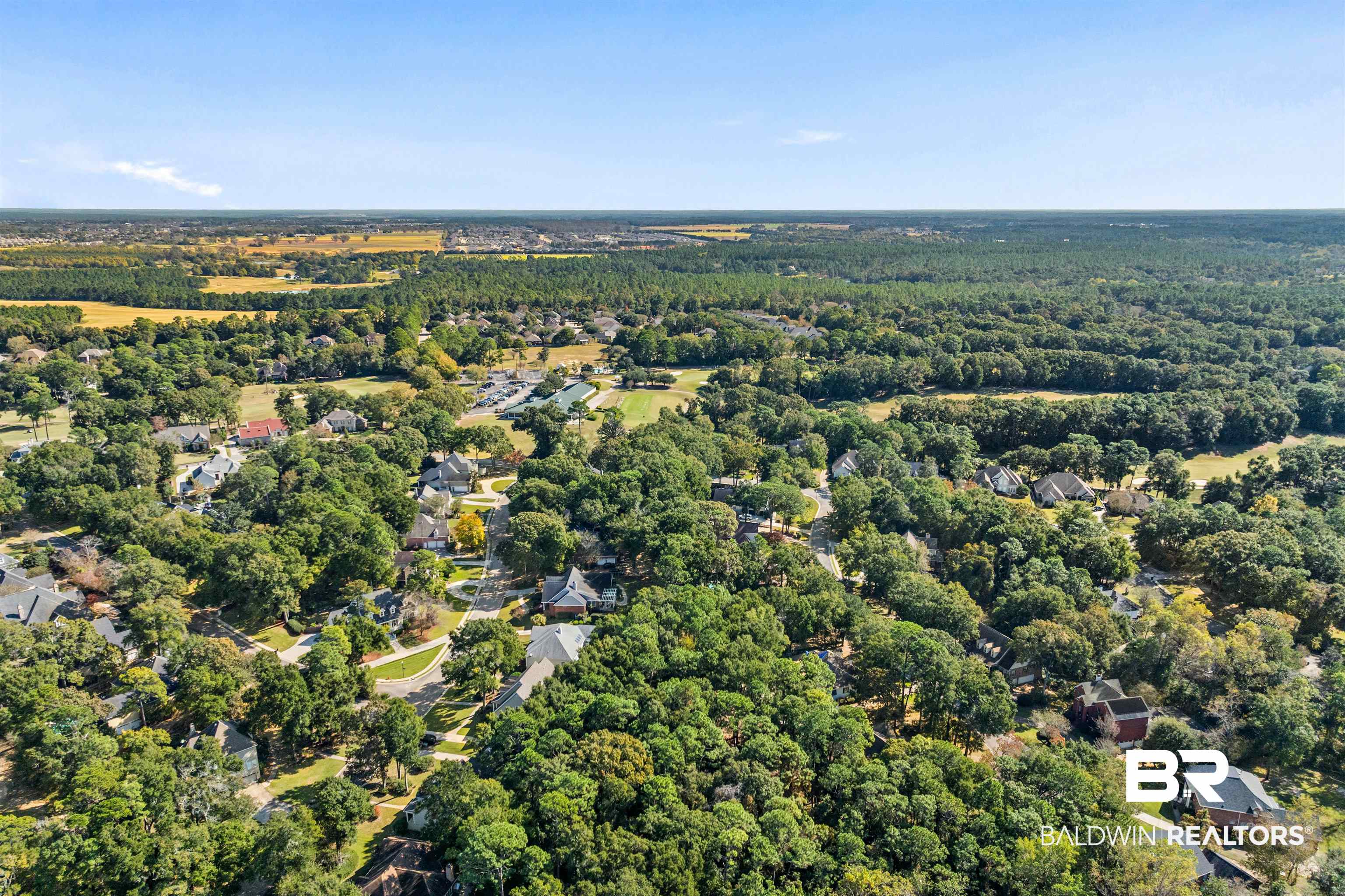 107 Beaver Dam Road Fairhope, AL 36532 - Photo 42 of 45 Bird's eye view of a forest