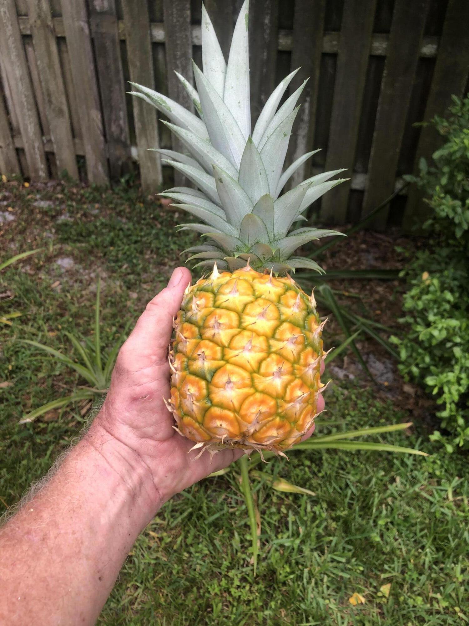 2941 Northwest 24th Way Boca Raton, FL 33431 - Photo 44 of 51 IMG_3504