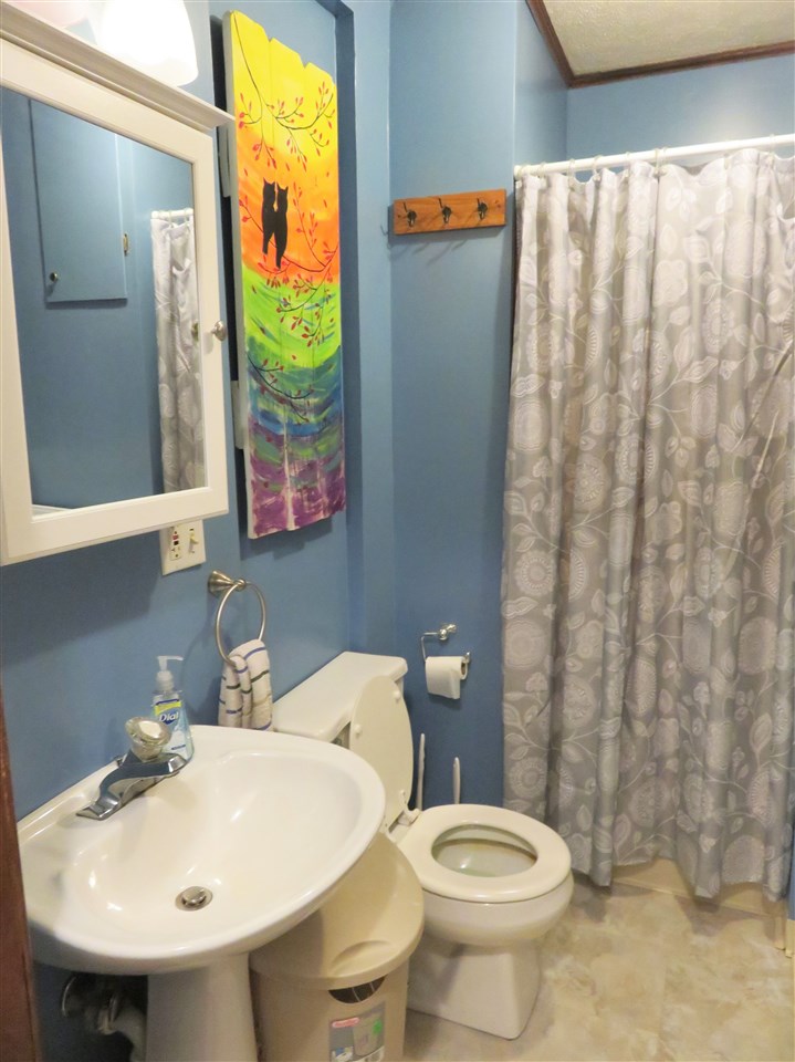 4005 West Beard Road Perry, MI 48872 - Photo 18 of 31