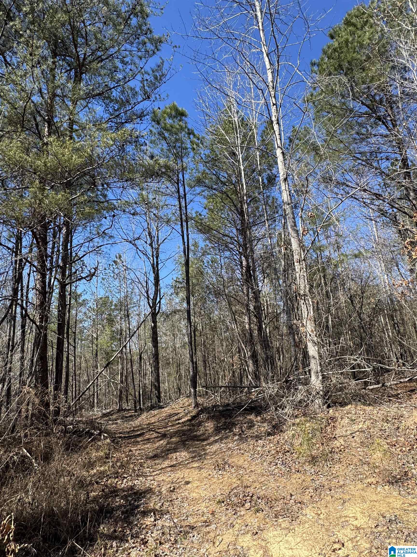 19063 Westside Road, Unit 6 Brookwood, AL 35444 - Photo 6 of 25