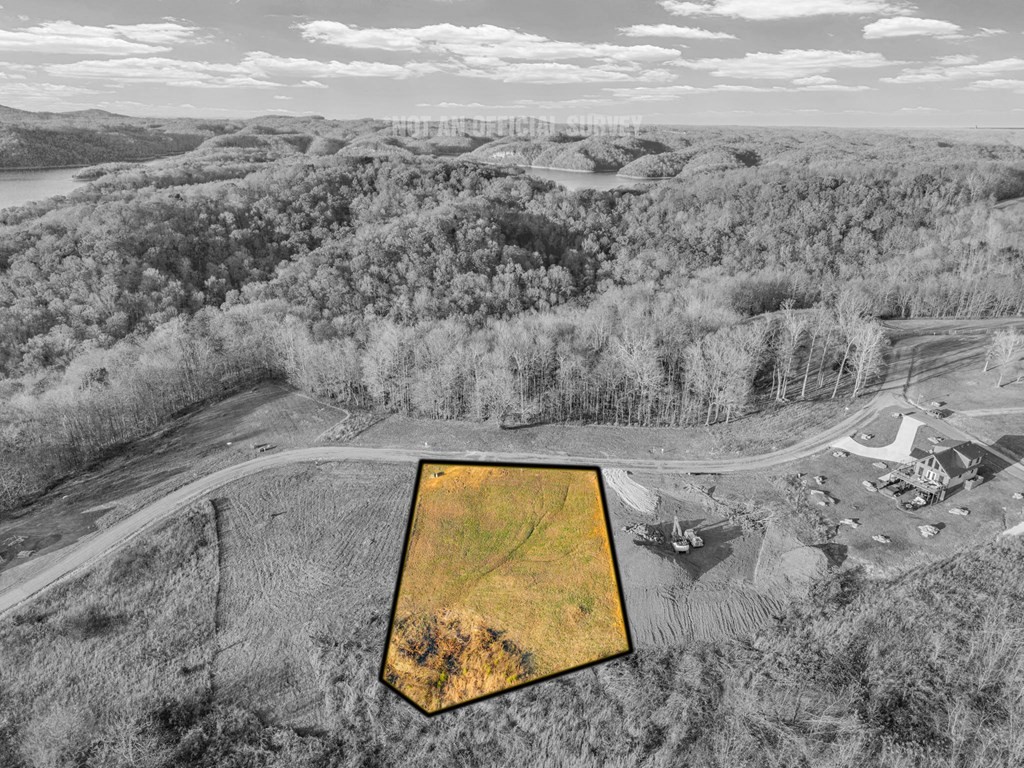 0 Bald Eagle Road Celina, TN 38551 - Photo 10 of 21