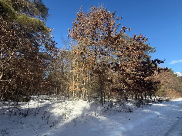 $9,500 | 10934 Dobbyn Drive, Unit 55, Stanwood, MI 49346