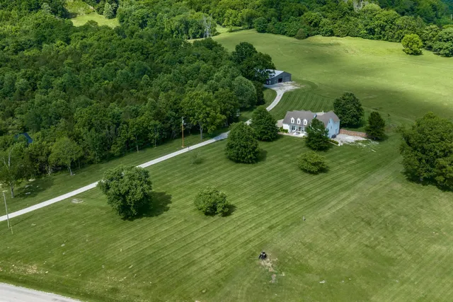 a view of a big yard with a large tree
