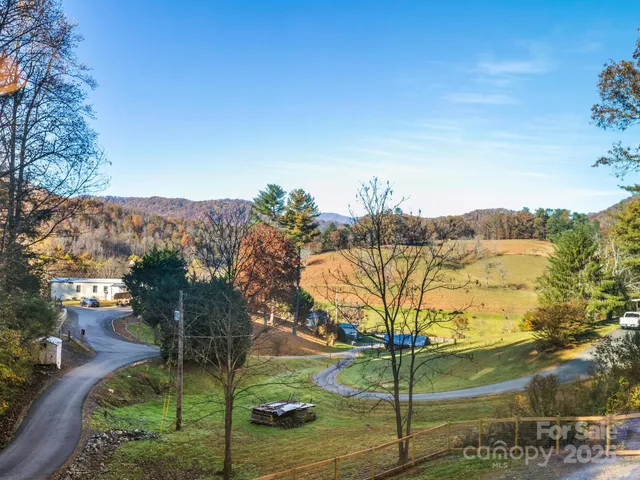 a view of yard with tree s