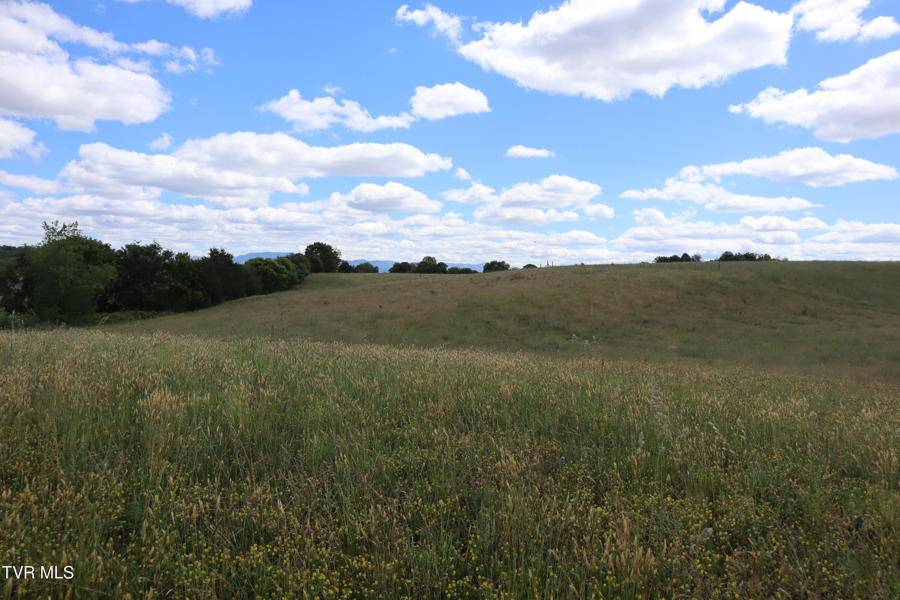 9170 Old Stage Road, Unit 2 Limestone, TN 37681 - Photo 13 of 15 IMG_0053
