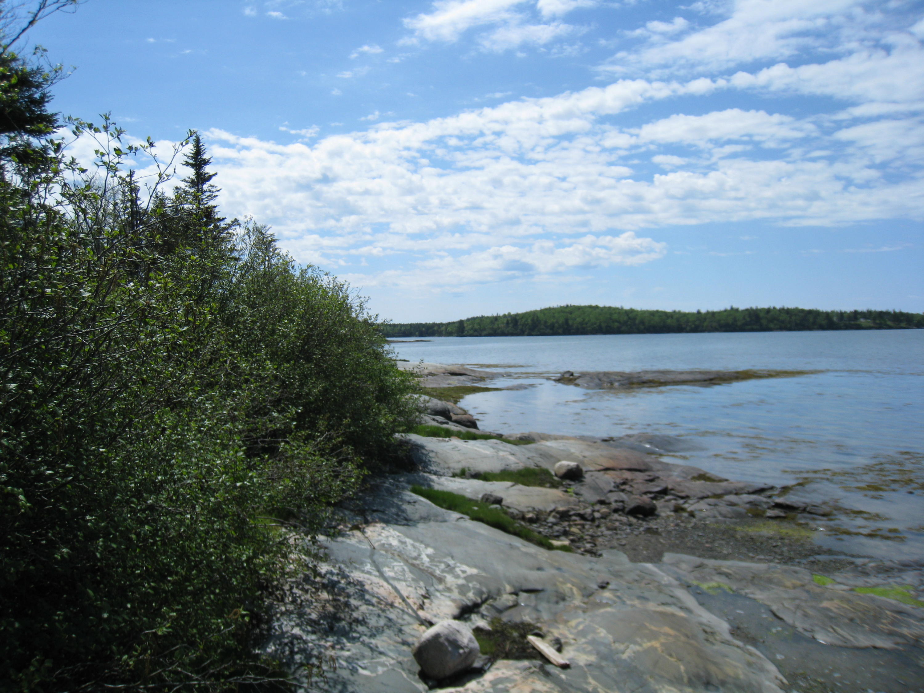 1 Collins Cove Road Machiasport, ME 04655 - Photo 8 of 16 1 shore