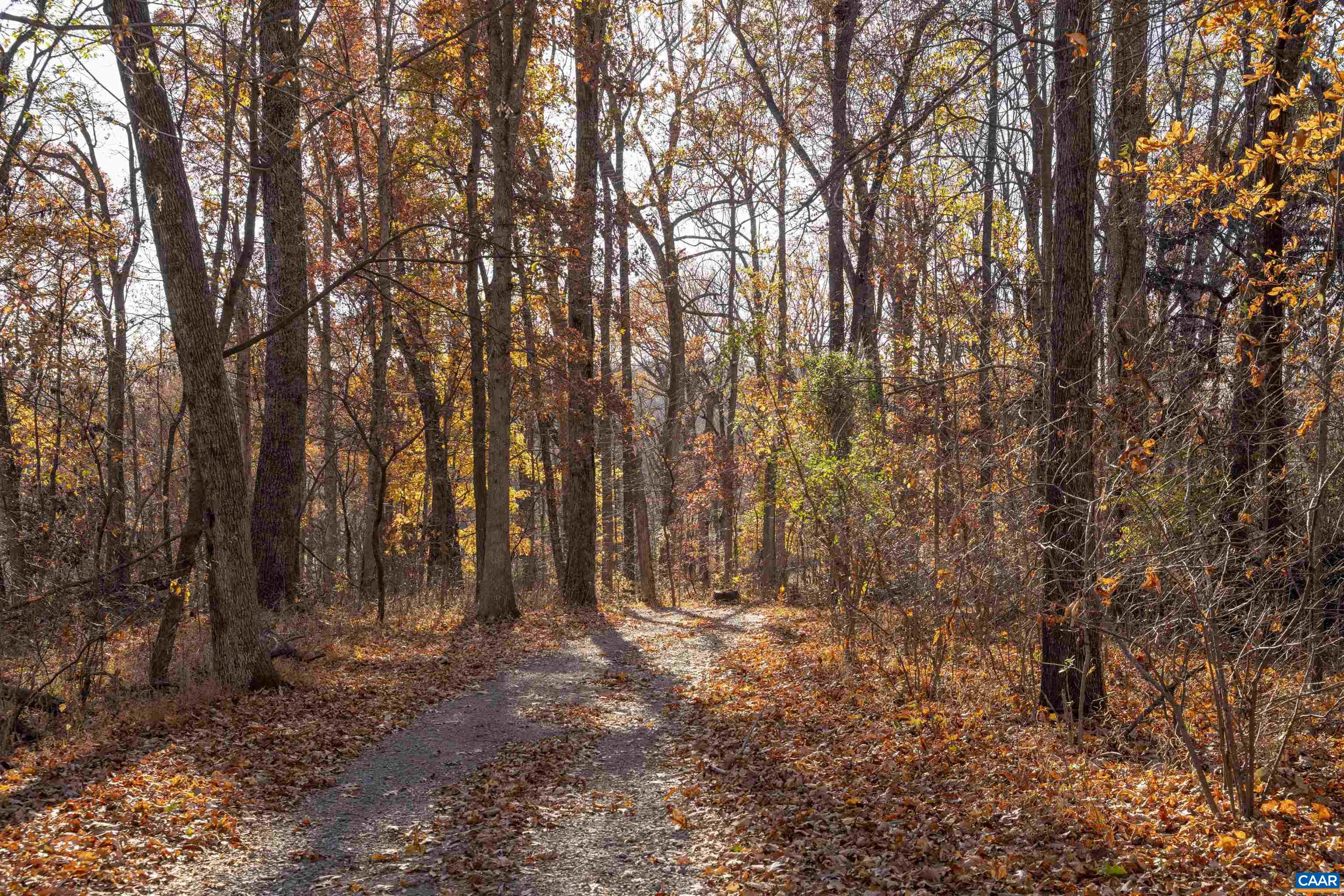 12413 Chicken Mountain Road Orange, VA 22960 - Photo 35 of 36 a view of outdoor space with trees