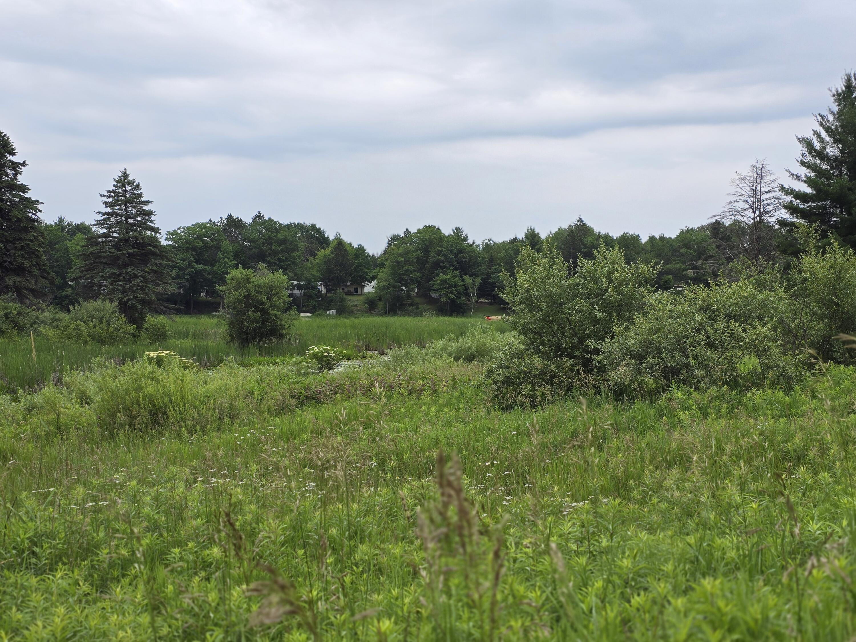6172 Lake Road Barryton, MI 49305 - Photo 4 of 9 20240628_145455