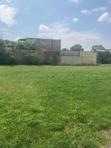 a view of a big yard