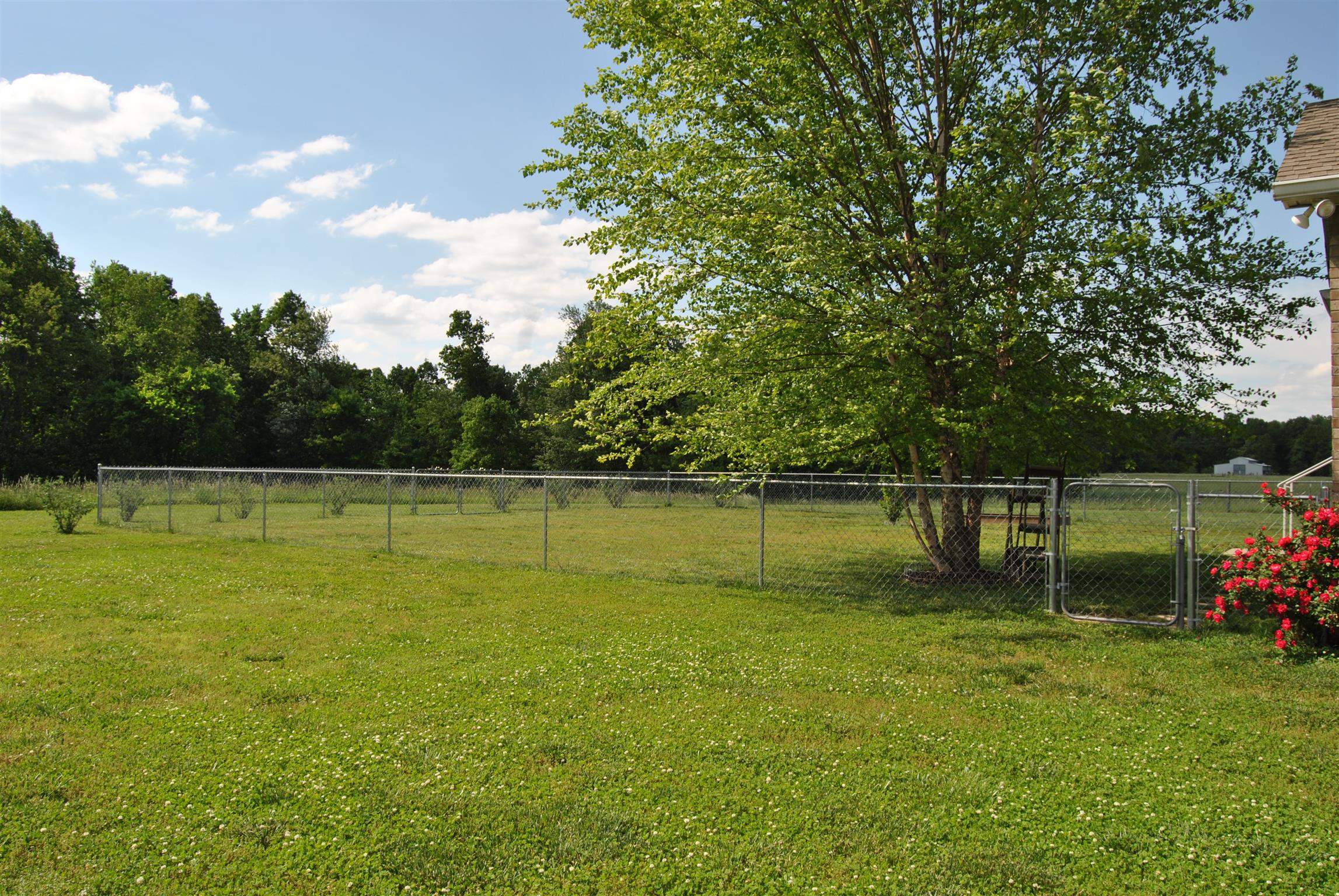 2397 Paul Harrell Road Beechgrove, TN 37018 - Photo 6 of 29 Fenced in area for your pets!