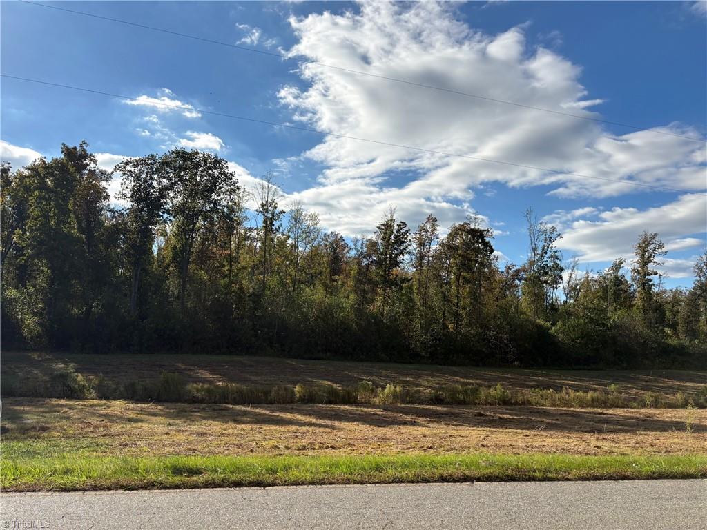 5 Gallimore Dairy Road Denton, NC 27239 - Photo 3 of 4