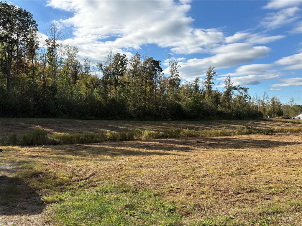 5 Gallimore Dairy Road Denton, NC 27239 - Photo 3 of 7