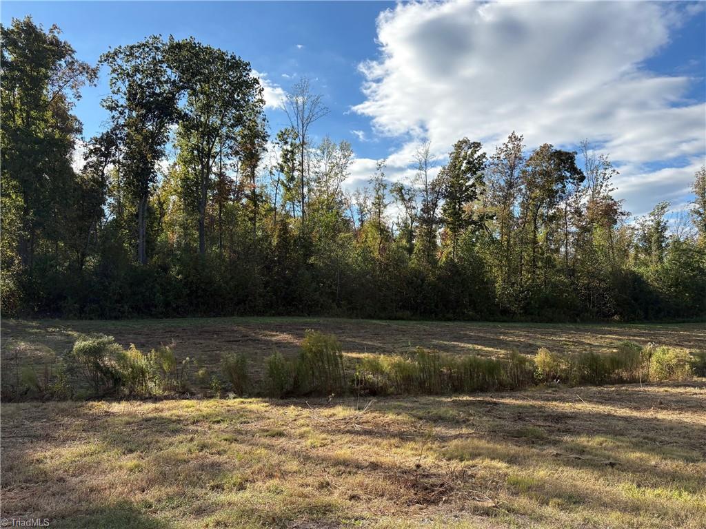 5 Gallimore Dairy Road Denton, NC 27239 - Photo 4 of 7