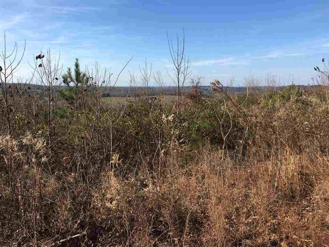 728 Co Road Riceville, TN 37370 - Photo 1 of 1 Burson 15