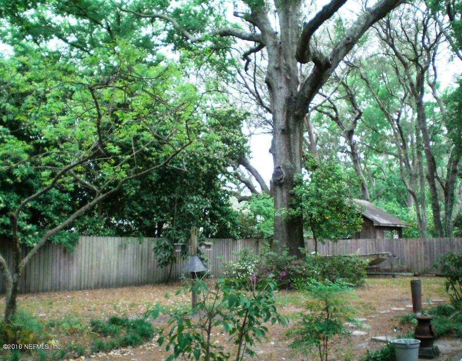 5404 Santa Rosa Way Jacksonville, FL 32211 - Photo 3 of 16 Backyard