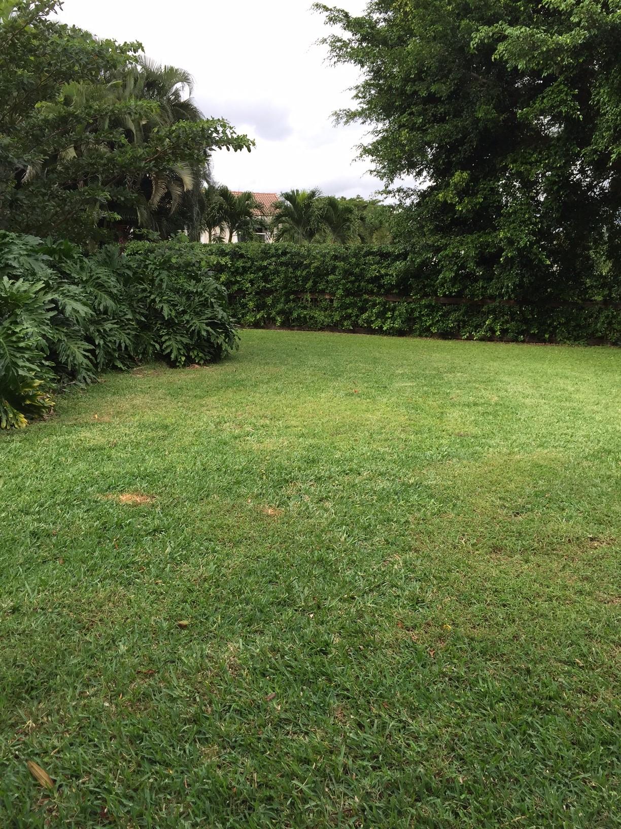 2295 Northwest 35th Street Boca Raton, FL 33431 - Photo 26 of 32 Fenced Yard 4
