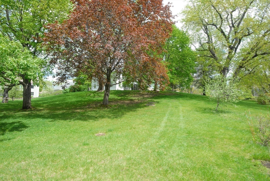 18 Concord Greene, Unit 6 Concord, MA 01742 - Photo 18 of 24 a grassy field with trees in the background